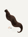 Ponytail Velvety Paris chocolat marron, queue de cheval douce et volumineuse pour un look raffiné